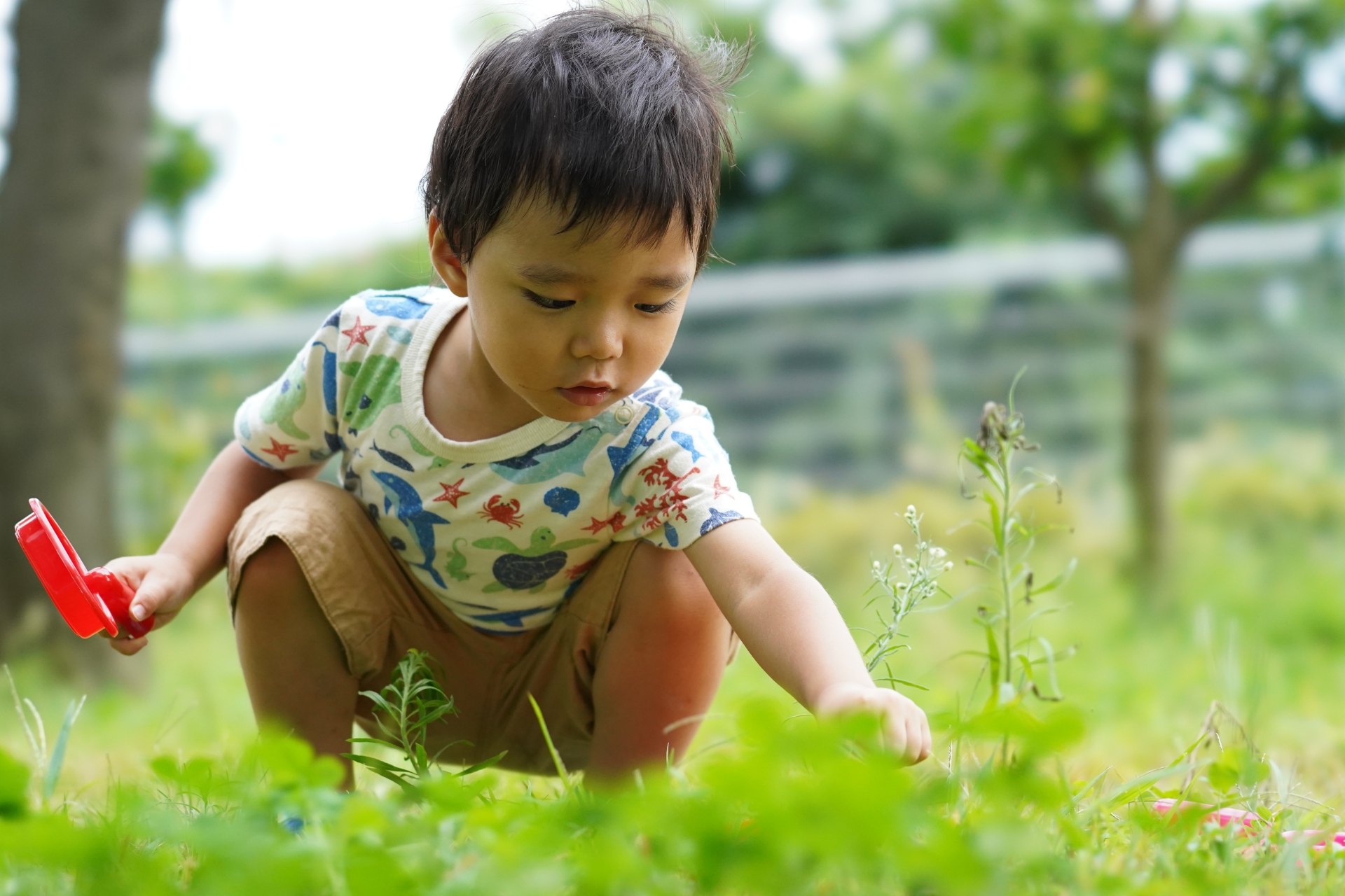 汗だくになって公園でおもちゃ遊びをする２歳児