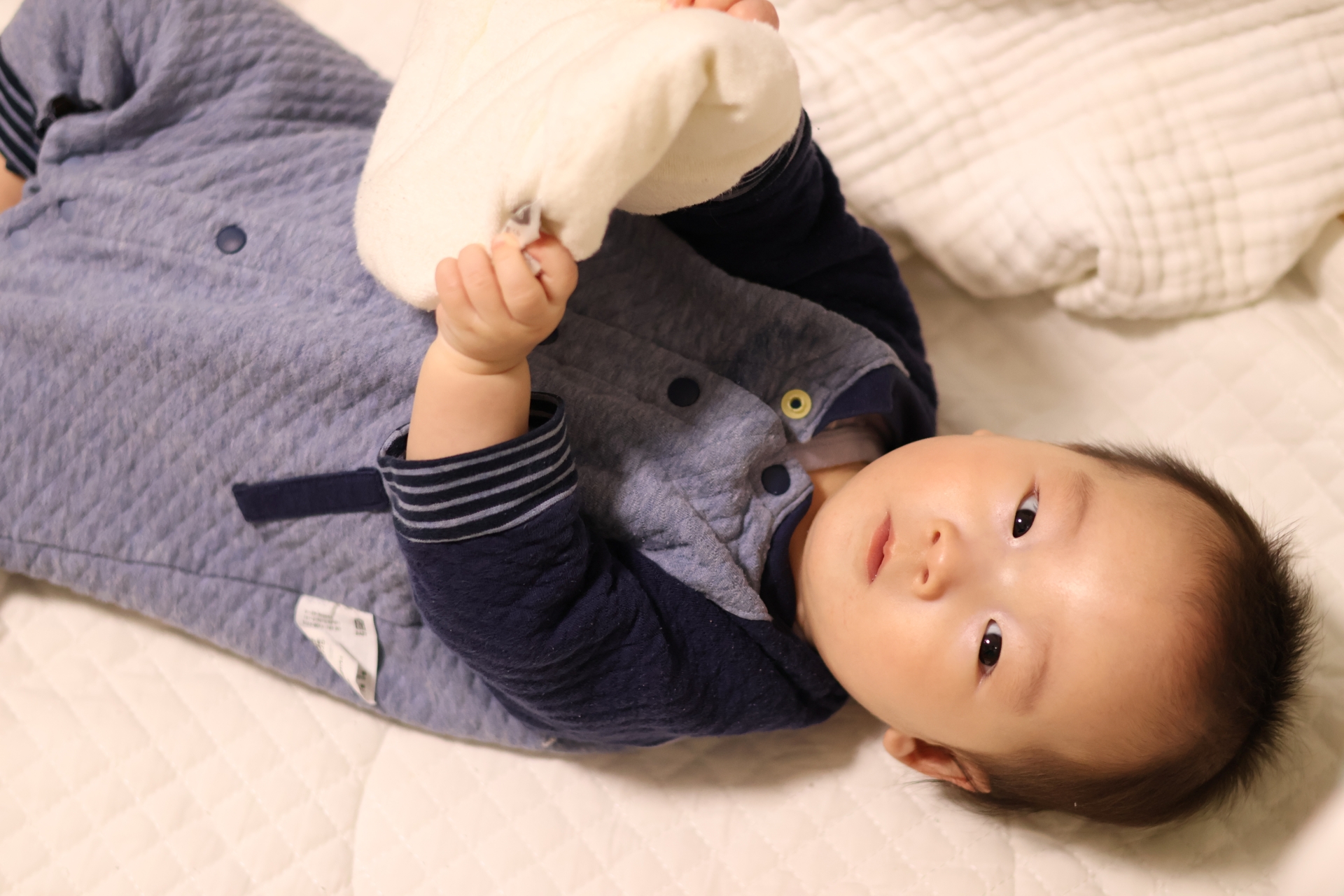 人形をもつ赤ちゃん