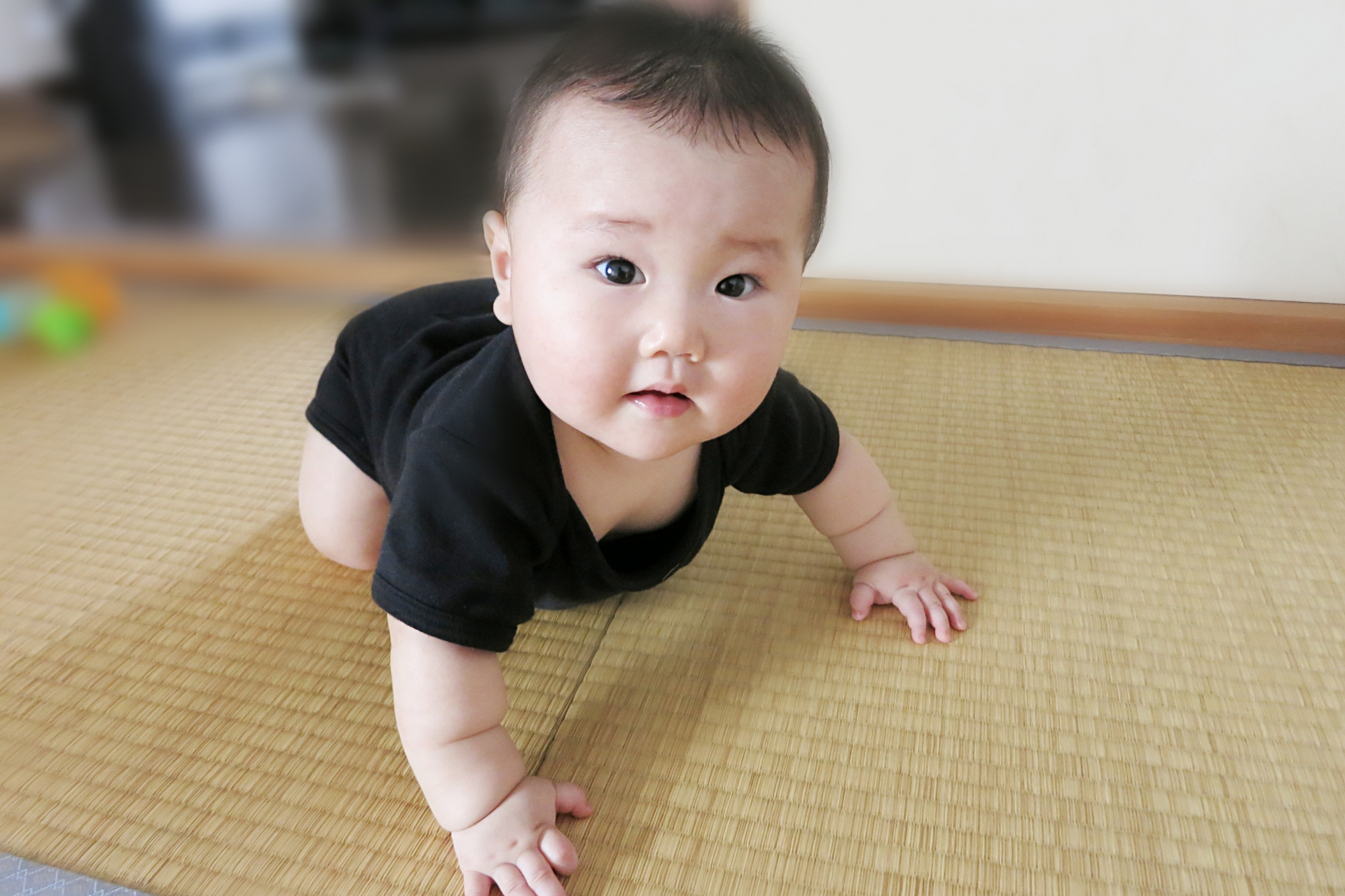 はいはい